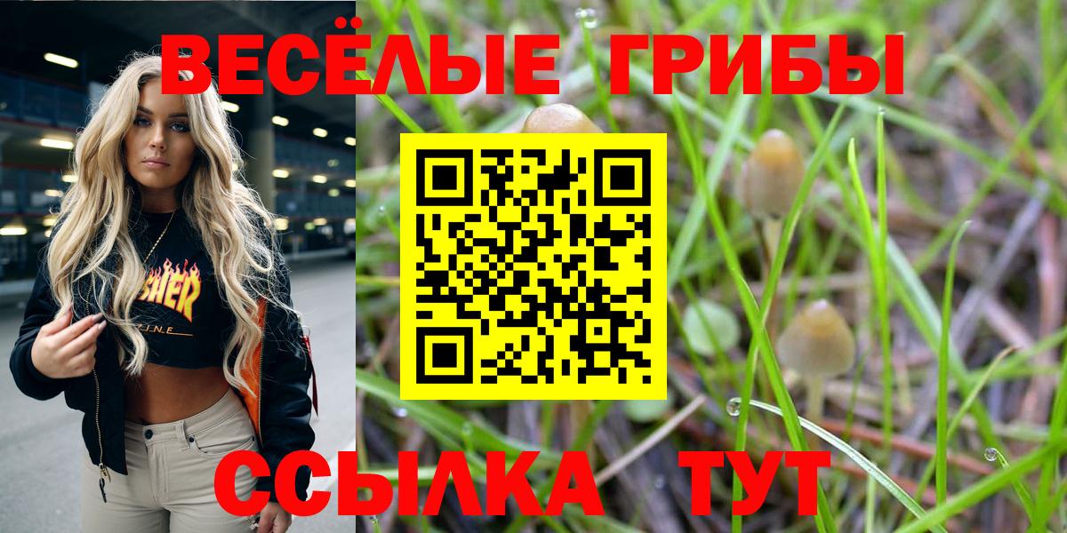 Псилоцибиновые грибы Cubensis  Псилоцибиновые грибы Psilocybe  Вход с VPN  Торжок 